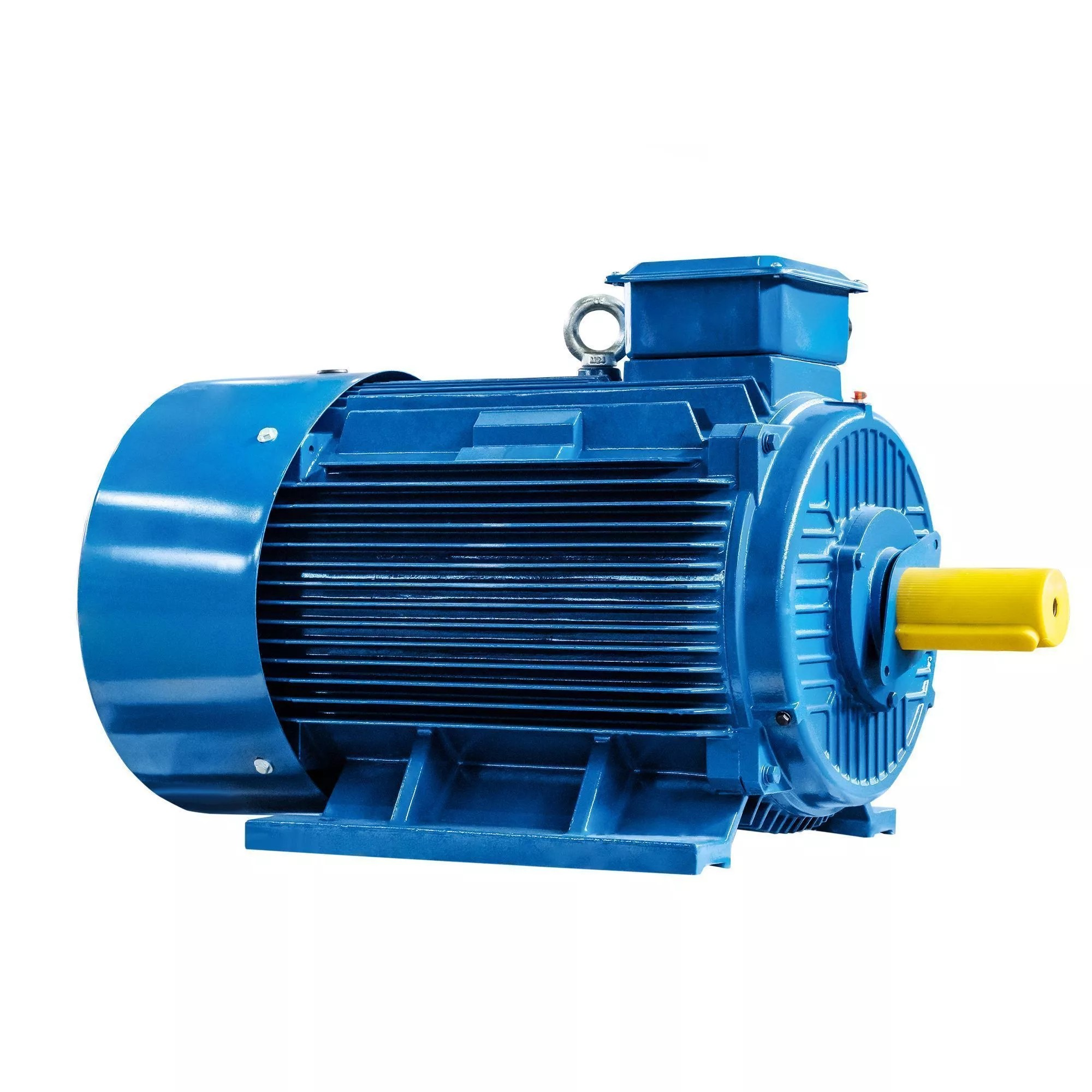 5АИ 355 М2 315/3000 IM1001 5АИ 355 М2 315/3000 IM1001