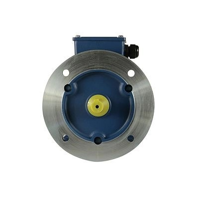 5АИ 90 L2 FT115 3/3000 IM2181 5АИ 90 L2 FT115 3/3000 IM2181